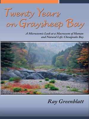 cover image of Twenty Years on Graysheep Bay